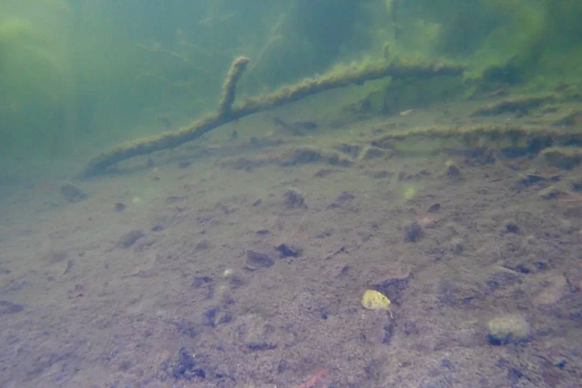 Нижегородские блогеры Алексей и Мария Левкины продолжают показывать, что скрывают водоемы 33-го региона. Ребята смело опускаются на дно рек и озер, чтобы сделать впечатляющие кадры. Пара вернулась во Владимирскую область, чтобы исследовать еще несколько интересных локаций.