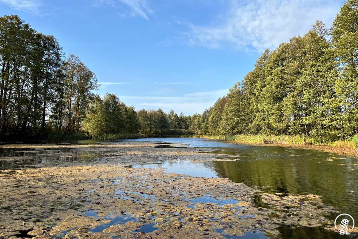 Нижегородские блогеры Алексей и Мария Левкины продолжают показывать, что скрывают водоемы 33-го региона. Ребята смело опускаются на дно рек и озер, чтобы сделать впечатляющие кадры. Пара вернулась во Владимирскую область, чтобы исследовать еще несколько интересных локаций.
