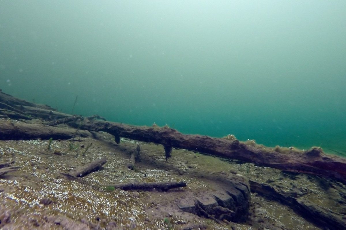 Нижегородские блогеры Алексей и Мария Левкины продолжают показывать, что скрывают водоемы 33-го региона. Ребята смело опускаются на дно рек и озер, чтобы сделать впечатляющие кадры. Пара вернулась во Владимирскую область, чтобы исследовать еще несколько интересных локаций.