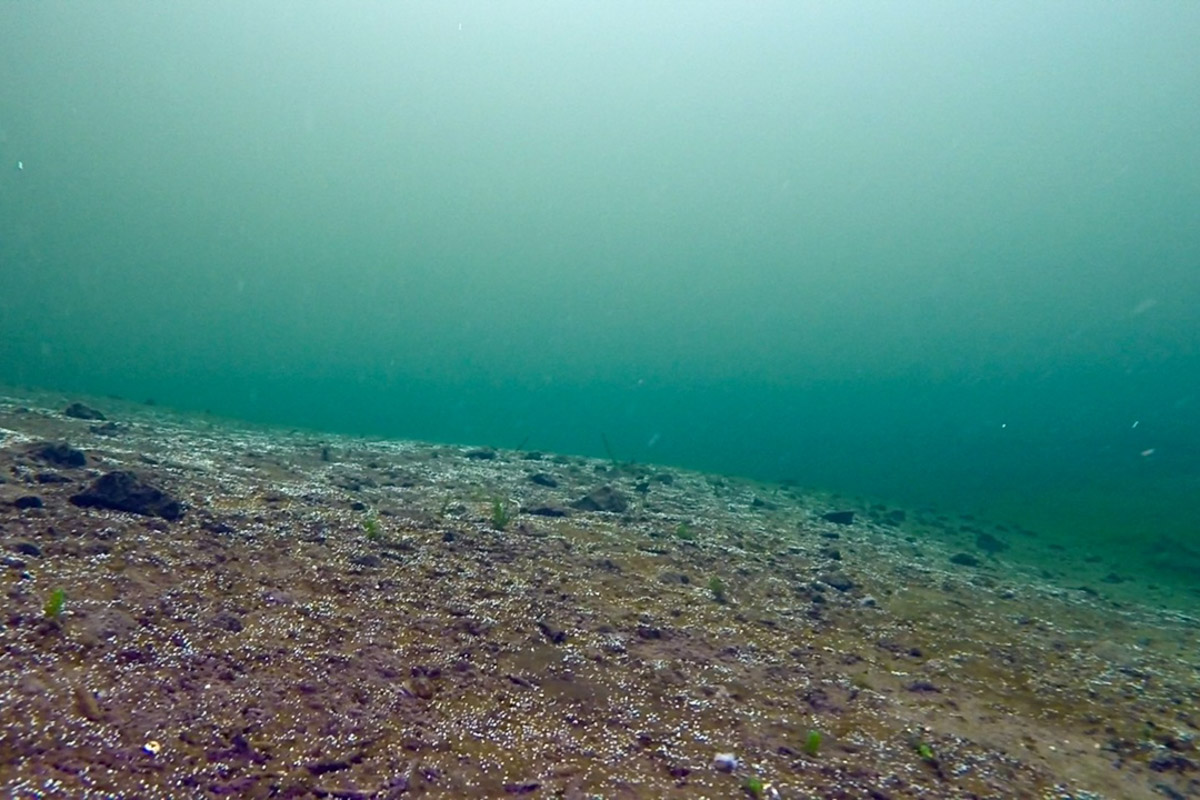 Нижегородские блогеры Алексей и Мария Левкины продолжают показывать, что скрывают водоемы 33-го региона. Ребята смело опускаются на дно рек и озер, чтобы сделать впечатляющие кадры. Пара вернулась во Владимирскую область, чтобы исследовать еще несколько интересных локаций.