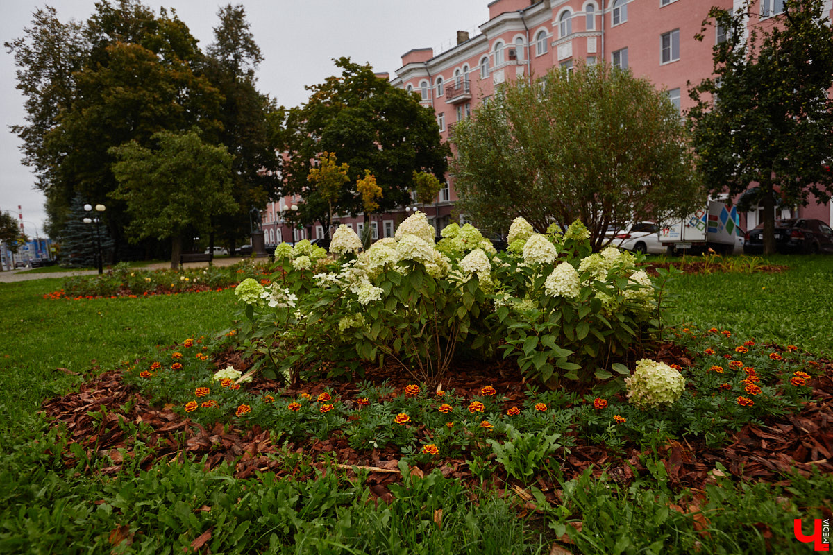 Городские садовники, не теряя времени даром, строят планы по облагораживанию улиц и скверов Владимира на весенне-летний сезон. Особое внимание уделят четырем въездам в столицу региона, воплотят в жизнь «зеленый» проект на разворотном кольце на стыке Безыменского и Комиссарова, а также прислушаются к пожеланиями жителей, жаждущих новых деревьев взамен вырубленных на Усти-на-Лабе.
