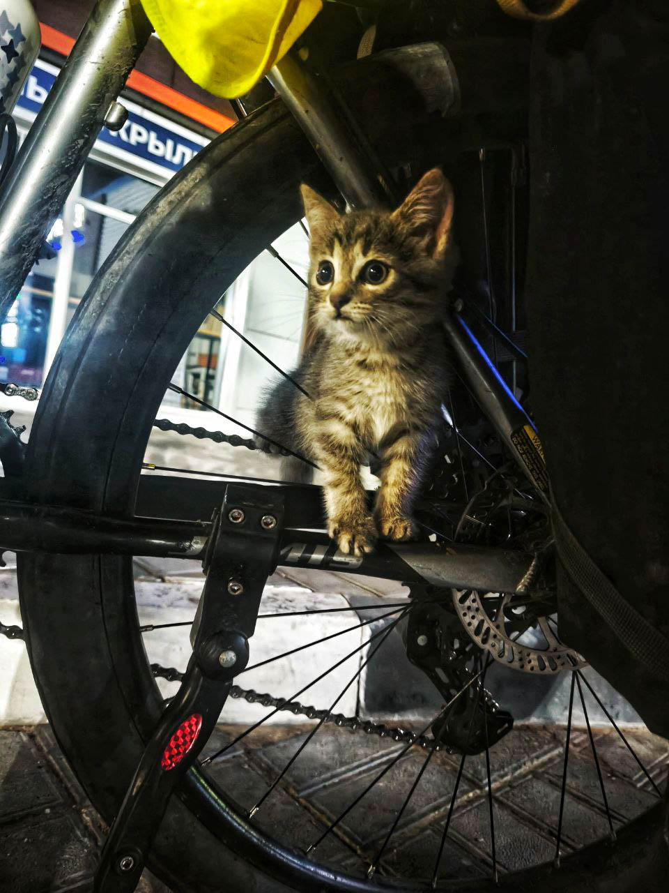 Спортивный психолог Александр Локалов переехал из Владимира в Казань восемь лет назад. Там он получил высшее образование, стал муниципальным служащим и оттуда же отправился в свой первый и сразу экстремальный велопробег. Следовал тот из Татарстана в Стамбул, повторяя исторический маршрут Великого шелкового пути.