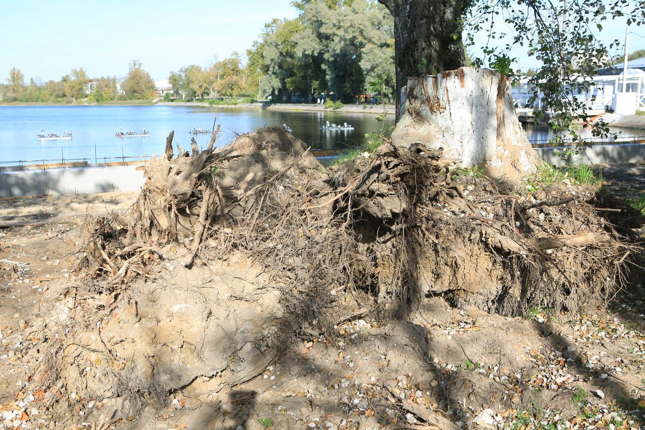 В городах Владимирской области завершаются работы по благоустройству общественных пространств. В Вязниках уже преобразился «Венец» на высоком берегу Клязьмы, в Вольгинском — набережная реки, в Покрове — Черное озеро, а в Камешкове — центральная площадь. Большинство объектов должны завершить до конца этого года. Вот только в Гусь-Хрустальном процесс пока поставлен на паузу, а вместо красивой локации со стеклянным мостом — сплошная зона раскопок.