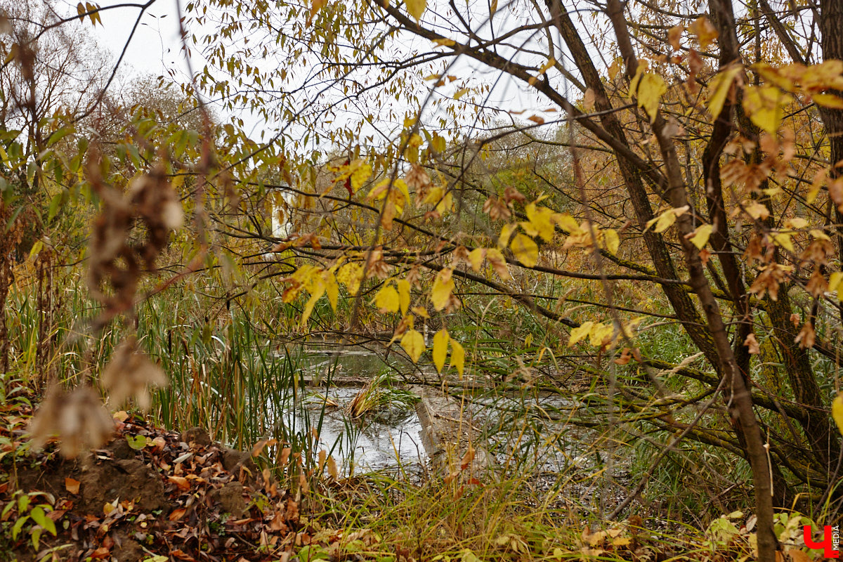 Юго-восточнее Московской заставы, в так называемой Лохани, еще в конце XVI — начале XVII века во избежание городского пожара поселили гончаров, делавших кирпич для «государева строения»: военных крепостей, казенных зданий, позже — посадских церквей. Спустя столетия только названия улиц и переулков в районе владимирского стадиона «Торпедо» напоминают о существовавшей там когда-то Гончарной слободе.