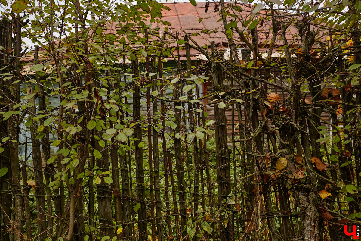 Юго-восточнее Московской заставы, в так называемой Лохани, еще в конце XVI — начале XVII века во избежание городского пожара поселили гончаров, делавших кирпич для «государева строения»: военных крепостей, казенных зданий, позже — посадских церквей. Спустя столетия только названия улиц и переулков в районе владимирского стадиона «Торпедо» напоминают о существовавшей там когда-то Гончарной слободе.
