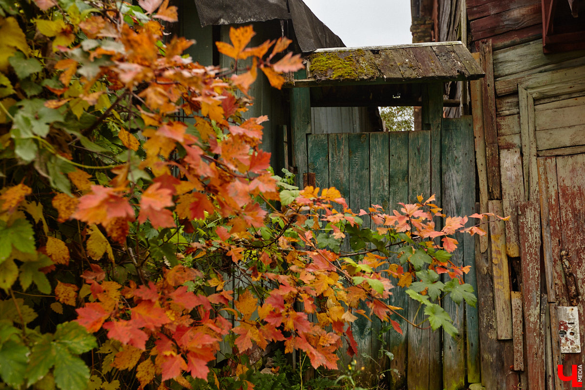 Юго-восточнее Московской заставы, в так называемой Лохани, еще в конце XVI — начале XVII века во избежание городского пожара поселили гончаров, делавших кирпич для «государева строения»: военных крепостей, казенных зданий, позже — посадских церквей. Спустя столетия только названия улиц и переулков в районе владимирского стадиона «Торпедо» напоминают о существовавшей там когда-то Гончарной слободе.