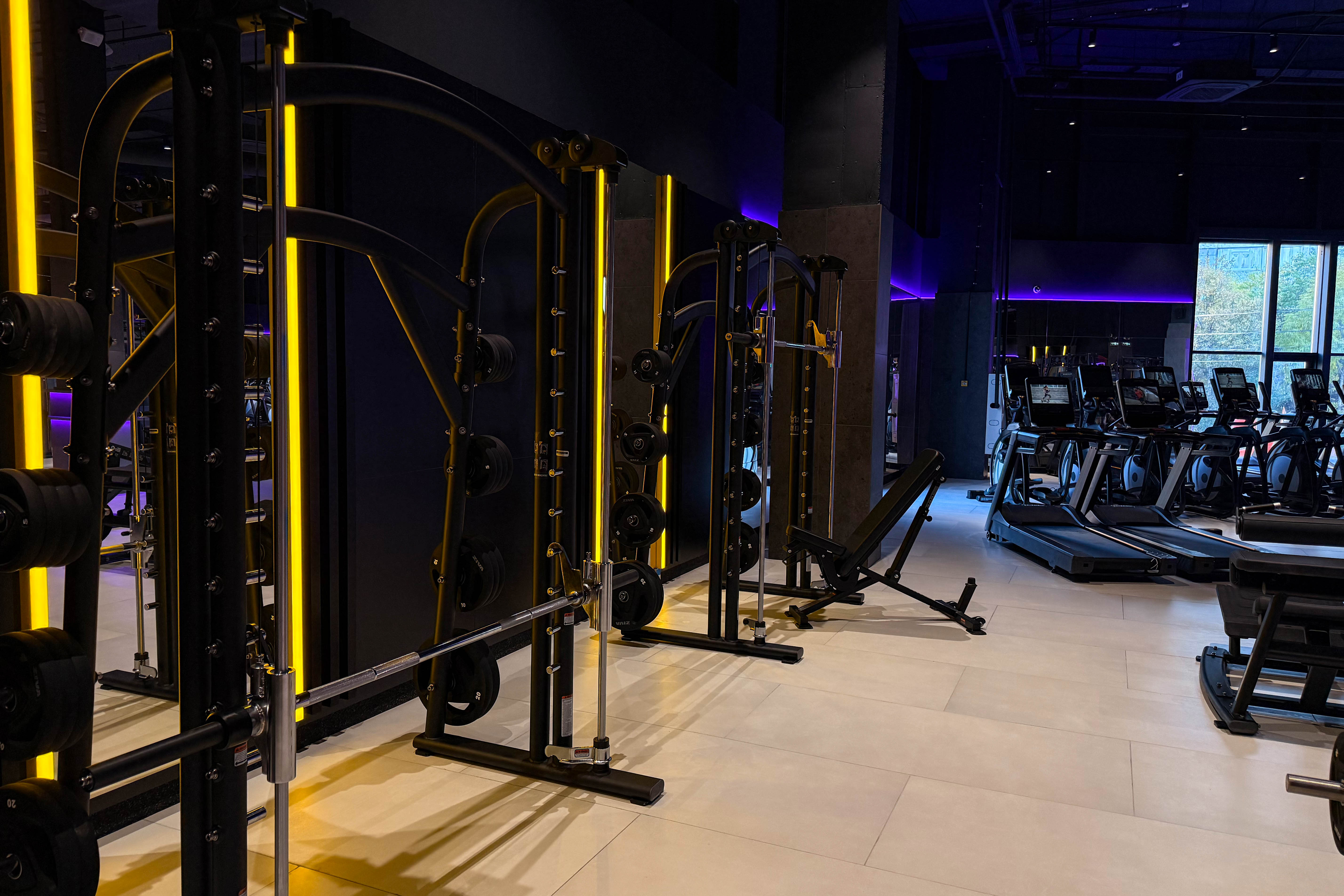 Фитнес-клуб в торговом центре — звучит интересно, согласитесь? В Ленинском районе в таком формате начало работу новое пространство DDX Fitness. Спортивная локация площадью 1500 квадратных метров стала 125-й по счету в России и первой в нашем регионе.