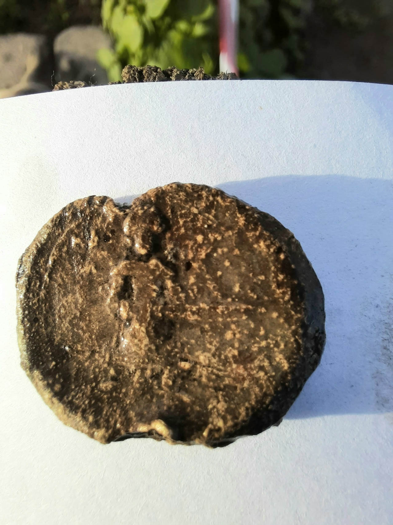 Муром является одним из эпицентров археологических раскопок. Там продолжили исследование территории Окского парка, с которой, собственно, и начал развиваться город. Изыскания, стартовавшие еще в 1939 году, продолжаются локально и в наши дни. За это время специалисты обнаружили на глубине немало важных артефактов. Щедрым на находки оказался и полевой сезон 2025 года.