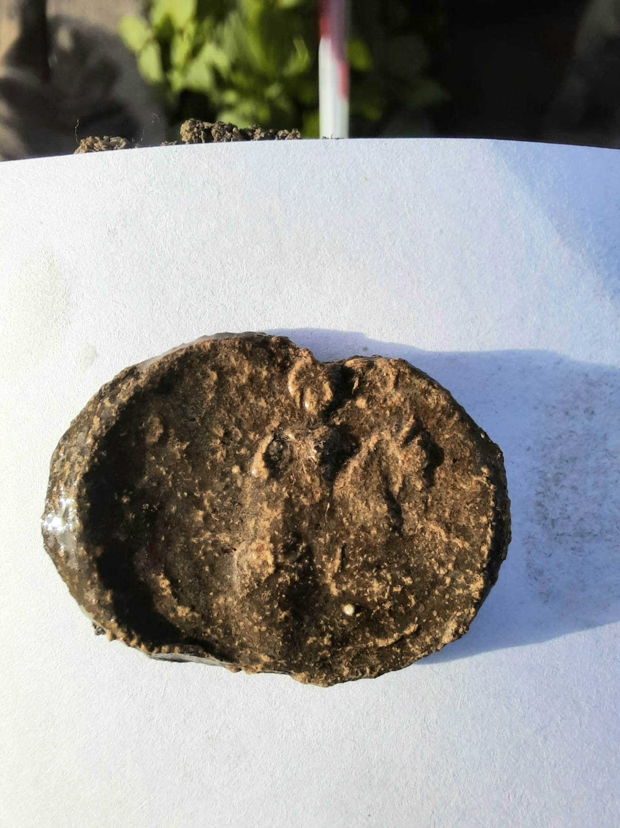 Муром является одним из эпицентров археологических раскопок. Там продолжили исследование территории Окского парка, с которой, собственно, и начал развиваться город. Изыскания, стартовавшие еще в 1939 году, продолжаются локально и в наши дни. За это время специалисты обнаружили на глубине немало важных артефактов. Щедрым на находки оказался и полевой сезон 2025 года.