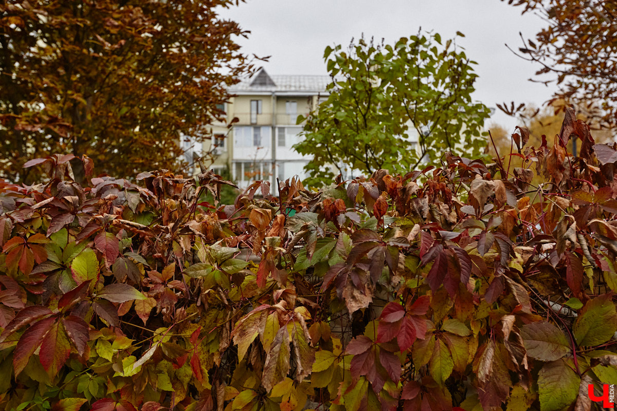 После знакомства с улицами Владимира, расположенными на дне так называемой Лохани, приглашаем прогуляться по ее склонам. Именно в этой части находятся, пожалуй, самые крутые улицы бывшей Гончарной слободы. Причем таковыми они являются не только из-за ландшафта, но также исходя из стоимости объектов, которые выросли там за последние годы.