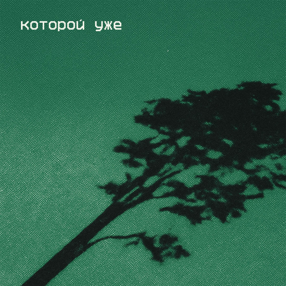 Несколько местных энтузиастов высказались о Владимире через тексты, коллажи и зарисовки. Их зины — небольшие самодельные журналы — были представлены на фестивале урбанистов в рамках своеобразной лаборатории. «Ключ-Медиа» пообщался с авторами и узнал, какие особенности окружающей среды они решили подчеркнуть.