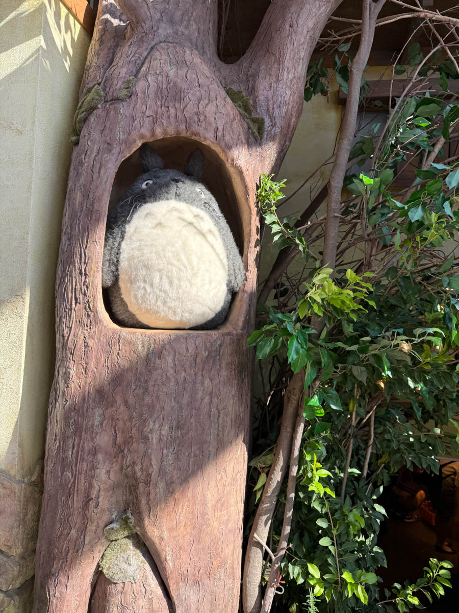 Погрузиться в мир волшебства не так уж сложно. Достаточно купить билет на самолет в Японию. В этом убедились владимирский фотограф Алиса Рунова и ее супруг Артем Баландин. Кроме местных сказочных храмов они побывали в парках развлечений, которые точно понравятся фанатам Гарри Поттера, а также любителям других известных фильмов, сериалов и видеоигр. Своими впечатлениями путешественники поделились с «Ключ-Медиа».