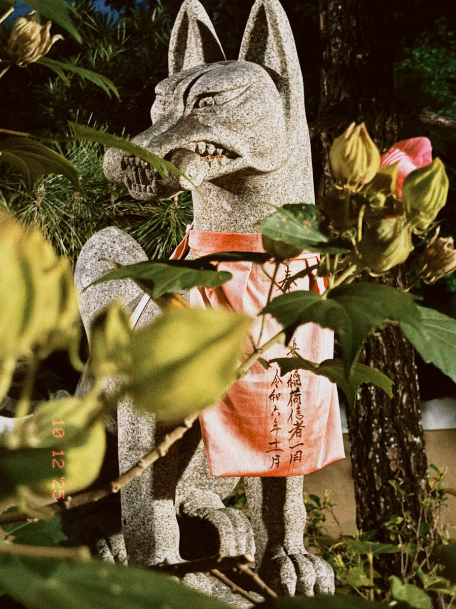 Погрузиться в мир волшебства не так уж сложно. Достаточно купить билет на самолет в Японию. В этом убедились владимирский фотограф Алиса Рунова и ее супруг Артем Баландин. Кроме местных сказочных храмов они побывали в парках развлечений, которые точно понравятся фанатам Гарри Поттера, а также любителям других известных фильмов, сериалов и видеоигр. Своими впечатлениями путешественники поделились с «Ключ-Медиа».