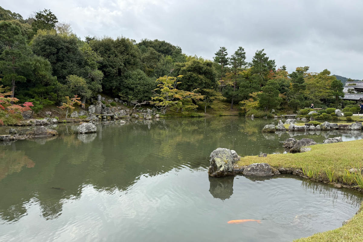 Погрузиться в мир волшебства не так уж сложно. Достаточно купить билет на самолет в Японию. В этом убедились владимирский фотограф Алиса Рунова и ее супруг Артем Баландин. Кроме местных сказочных храмов они побывали в парках развлечений, которые точно понравятся фанатам Гарри Поттера, а также любителям других известных фильмов, сериалов и видеоигр. Своими впечатлениями путешественники поделились с «Ключ-Медиа».