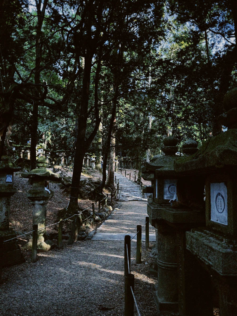Погрузиться в мир волшебства не так уж сложно. Достаточно купить билет на самолет в Японию. В этом убедились владимирский фотограф Алиса Рунова и ее супруг Артем Баландин. Кроме местных сказочных храмов они побывали в парках развлечений, которые точно понравятся фанатам Гарри Поттера, а также любителям других известных фильмов, сериалов и видеоигр. Своими впечатлениями путешественники поделились с «Ключ-Медиа».