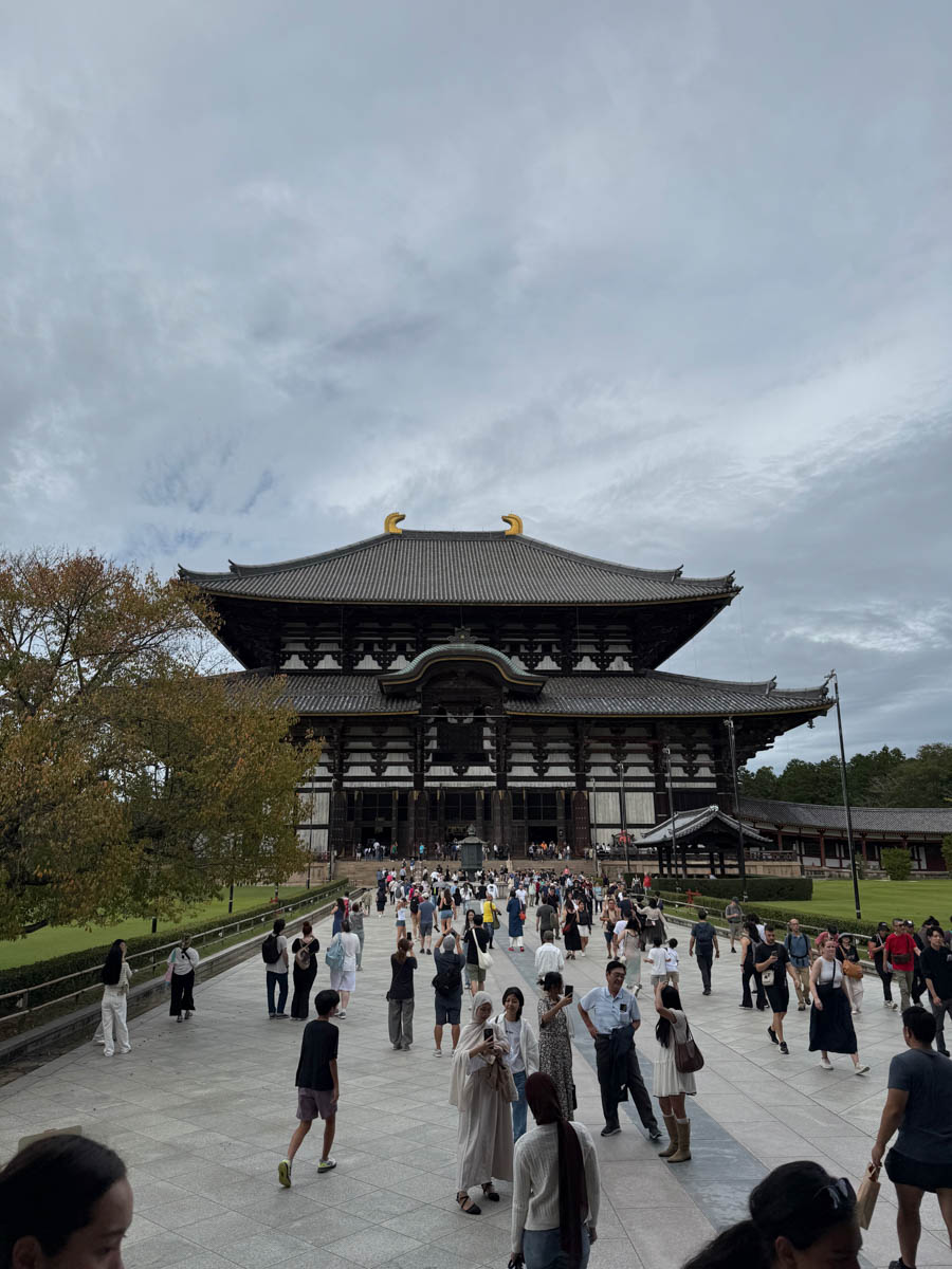 Погрузиться в мир волшебства не так уж сложно. Достаточно купить билет на самолет в Японию. В этом убедились владимирский фотограф Алиса Рунова и ее супруг Артем Баландин. Кроме местных сказочных храмов они побывали в парках развлечений, которые точно понравятся фанатам Гарри Поттера, а также любителям других известных фильмов, сериалов и видеоигр. Своими впечатлениями путешественники поделились с «Ключ-Медиа».