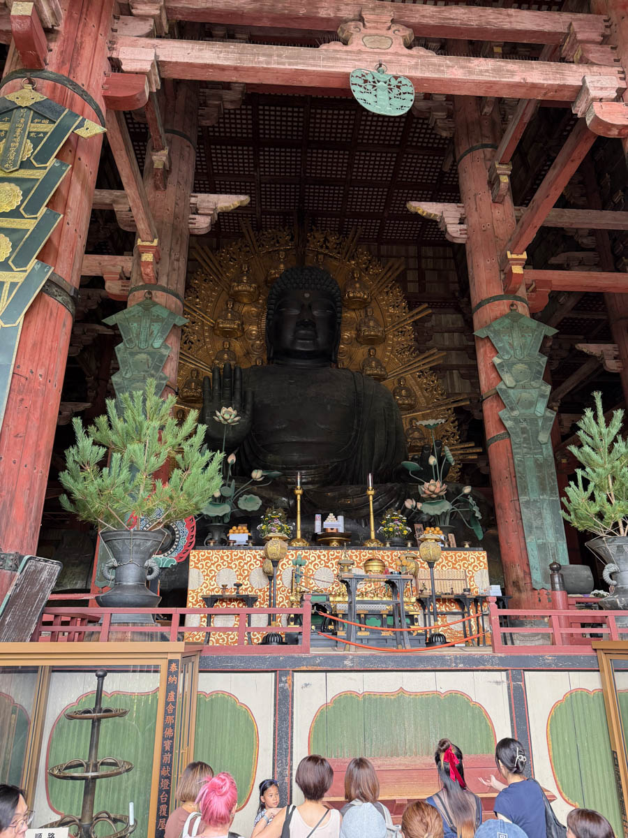 Погрузиться в мир волшебства не так уж сложно. Достаточно купить билет на самолет в Японию. В этом убедились владимирский фотограф Алиса Рунова и ее супруг Артем Баландин. Кроме местных сказочных храмов они побывали в парках развлечений, которые точно понравятся фанатам Гарри Поттера, а также любителям других известных фильмов, сериалов и видеоигр. Своими впечатлениями путешественники поделились с «Ключ-Медиа».