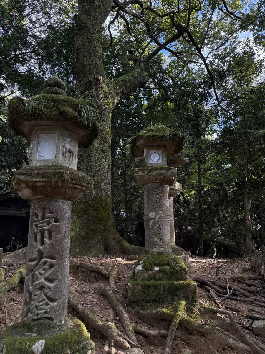 Погрузиться в мир волшебства не так уж сложно. Достаточно купить билет на самолет в Японию. В этом убедились владимирский фотограф Алиса Рунова и ее супруг Артем Баландин. Кроме местных сказочных храмов они побывали в парках развлечений, которые точно понравятся фанатам Гарри Поттера, а также любителям других известных фильмов, сериалов и видеоигр. Своими впечатлениями путешественники поделились с «Ключ-Медиа».