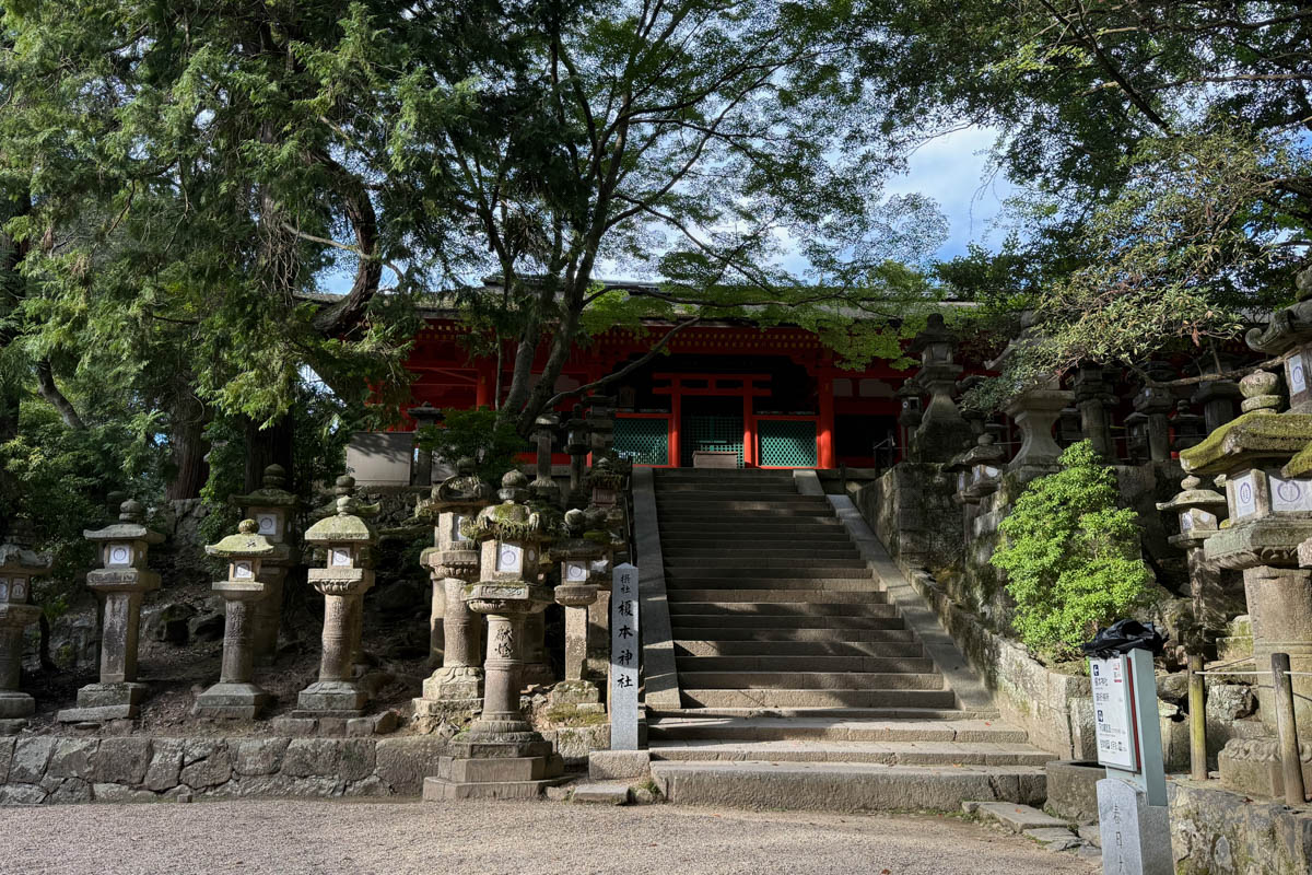 Погрузиться в мир волшебства не так уж сложно. Достаточно купить билет на самолет в Японию. В этом убедились владимирский фотограф Алиса Рунова и ее супруг Артем Баландин. Кроме местных сказочных храмов они побывали в парках развлечений, которые точно понравятся фанатам Гарри Поттера, а также любителям других известных фильмов, сериалов и видеоигр. Своими впечатлениями путешественники поделились с «Ключ-Медиа».