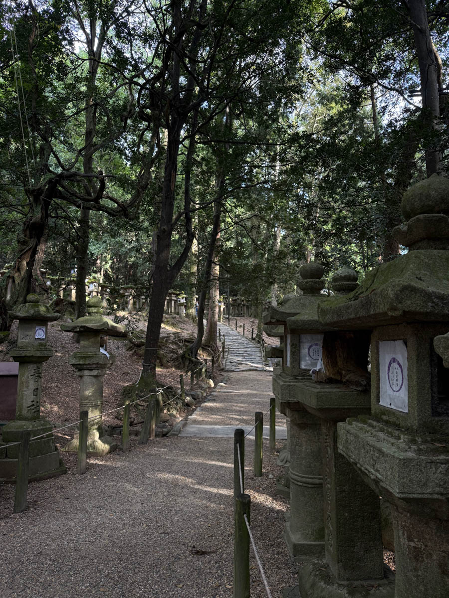 Погрузиться в мир волшебства не так уж сложно. Достаточно купить билет на самолет в Японию. В этом убедились владимирский фотограф Алиса Рунова и ее супруг Артем Баландин. Кроме местных сказочных храмов они побывали в парках развлечений, которые точно понравятся фанатам Гарри Поттера, а также любителям других известных фильмов, сериалов и видеоигр. Своими впечатлениями путешественники поделились с «Ключ-Медиа».