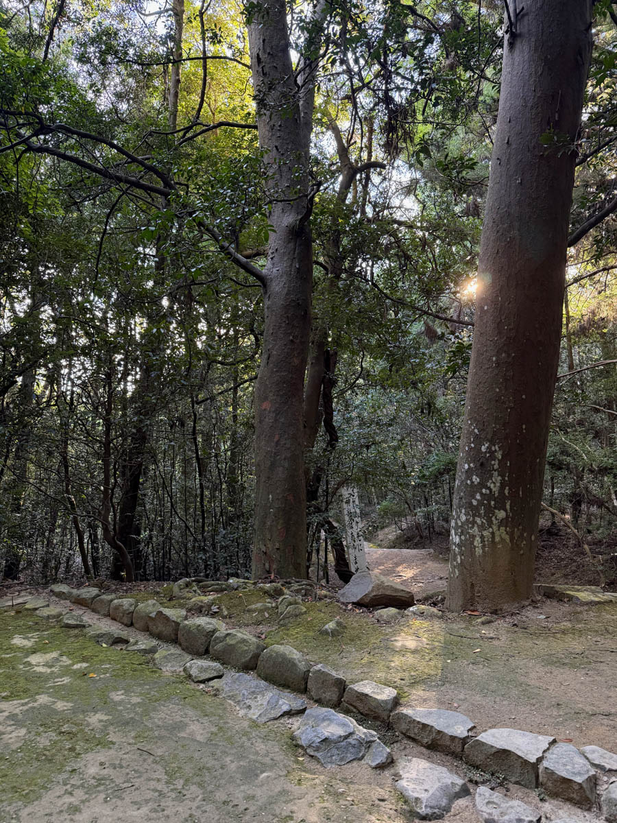 Погрузиться в мир волшебства не так уж сложно. Достаточно купить билет на самолет в Японию. В этом убедились владимирский фотограф Алиса Рунова и ее супруг Артем Баландин. Кроме местных сказочных храмов они побывали в парках развлечений, которые точно понравятся фанатам Гарри Поттера, а также любителям других известных фильмов, сериалов и видеоигр. Своими впечатлениями путешественники поделились с «Ключ-Медиа».