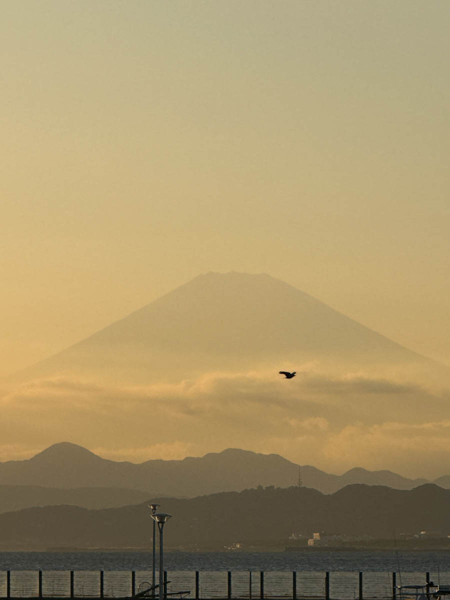 Погрузиться в мир волшебства не так уж сложно. Достаточно купить билет на самолет в Японию. В этом убедились владимирский фотограф Алиса Рунова и ее супруг Артем Баландин. Кроме местных сказочных храмов они побывали в парках развлечений, которые точно понравятся фанатам Гарри Поттера, а также любителям других известных фильмов, сериалов и видеоигр. Своими впечатлениями путешественники поделились с «Ключ-Медиа».