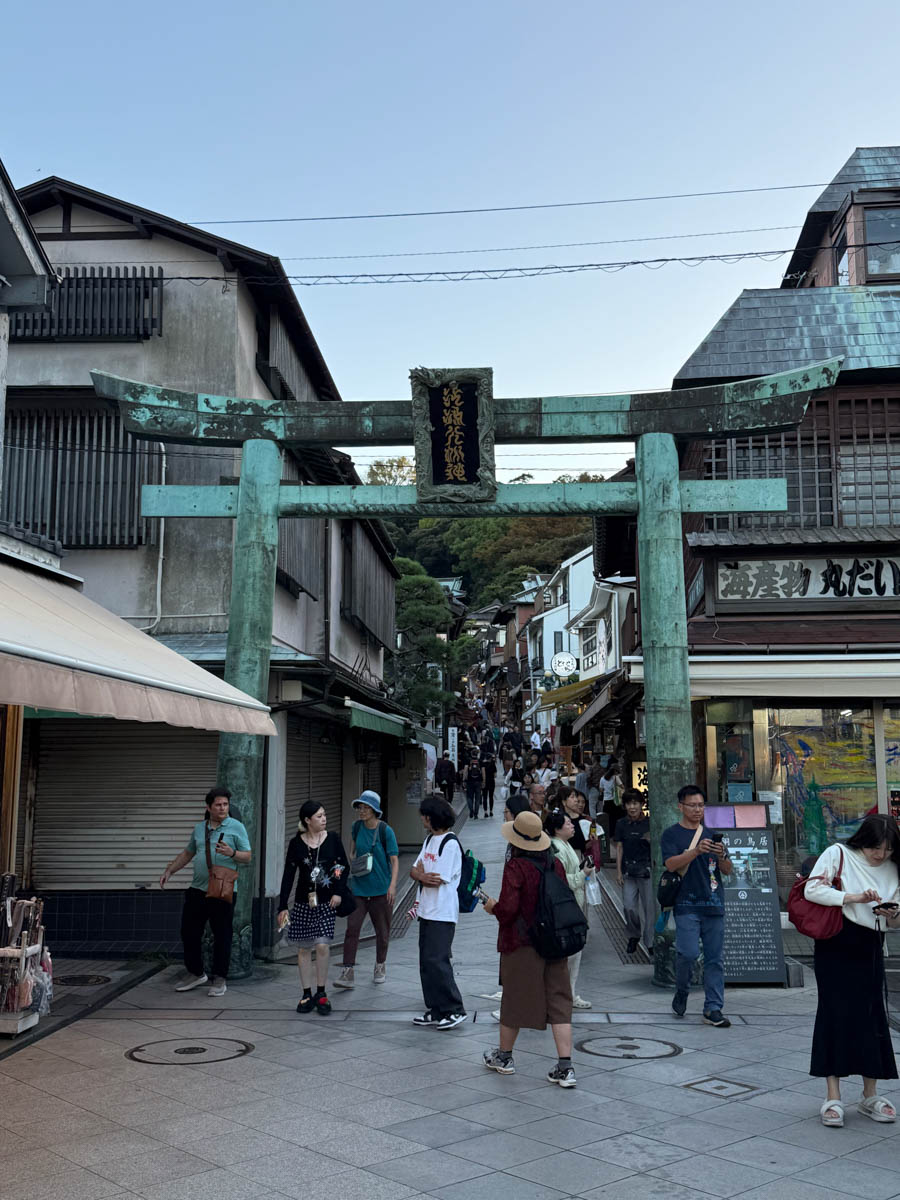 Погрузиться в мир волшебства не так уж сложно. Достаточно купить билет на самолет в Японию. В этом убедились владимирский фотограф Алиса Рунова и ее супруг Артем Баландин. Кроме местных сказочных храмов они побывали в парках развлечений, которые точно понравятся фанатам Гарри Поттера, а также любителям других известных фильмов, сериалов и видеоигр. Своими впечатлениями путешественники поделились с «Ключ-Медиа».