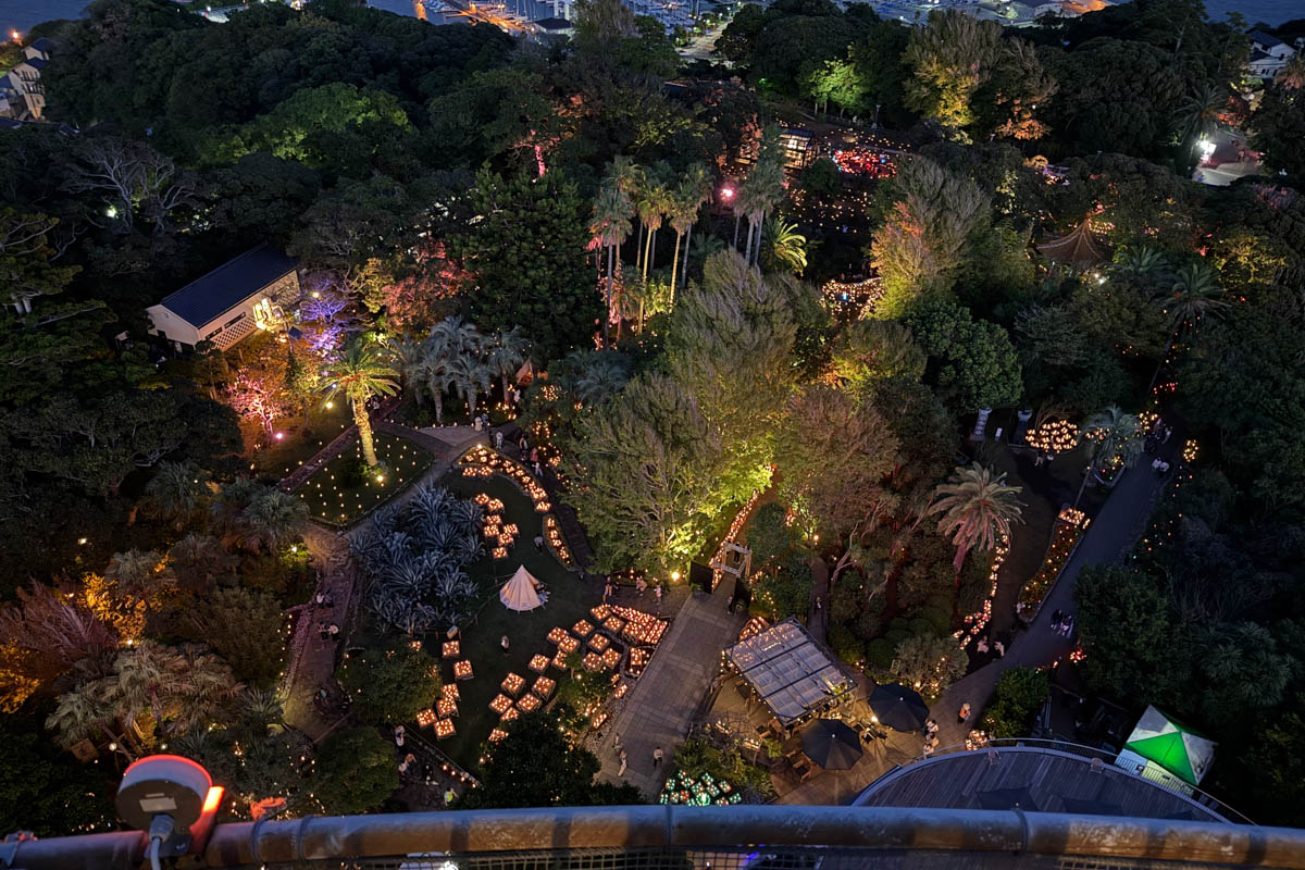 Погрузиться в мир волшебства не так уж сложно. Достаточно купить билет на самолет в Японию. В этом убедились владимирский фотограф Алиса Рунова и ее супруг Артем Баландин. Кроме местных сказочных храмов они побывали в парках развлечений, которые точно понравятся фанатам Гарри Поттера, а также любителям других известных фильмов, сериалов и видеоигр. Своими впечатлениями путешественники поделились с «Ключ-Медиа».