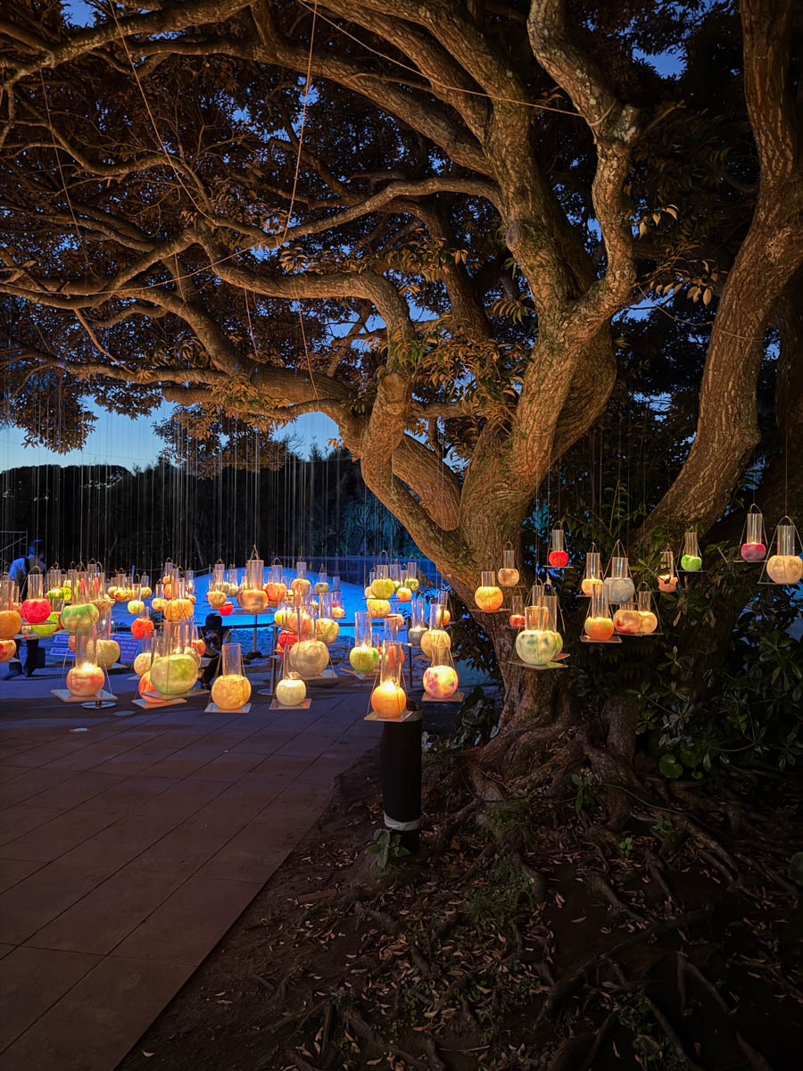 Погрузиться в мир волшебства не так уж сложно. Достаточно купить билет на самолет в Японию. В этом убедились владимирский фотограф Алиса Рунова и ее супруг Артем Баландин. Кроме местных сказочных храмов они побывали в парках развлечений, которые точно понравятся фанатам Гарри Поттера, а также любителям других известных фильмов, сериалов и видеоигр. Своими впечатлениями путешественники поделились с «Ключ-Медиа».