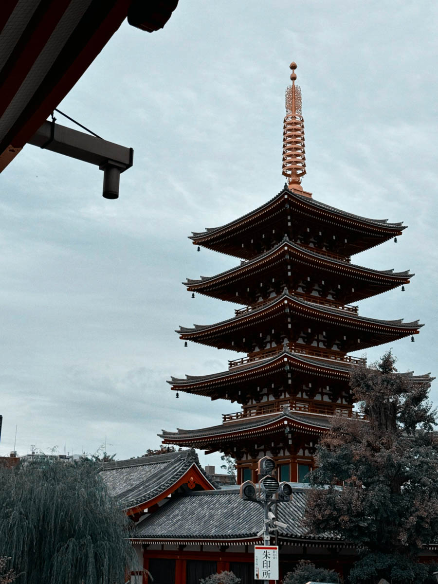 Погрузиться в мир волшебства не так уж сложно. Достаточно купить билет на самолет в Японию. В этом убедились владимирский фотограф Алиса Рунова и ее супруг Артем Баландин. Кроме местных сказочных храмов они побывали в парках развлечений, которые точно понравятся фанатам Гарри Поттера, а также любителям других известных фильмов, сериалов и видеоигр. Своими впечатлениями путешественники поделились с «Ключ-Медиа».