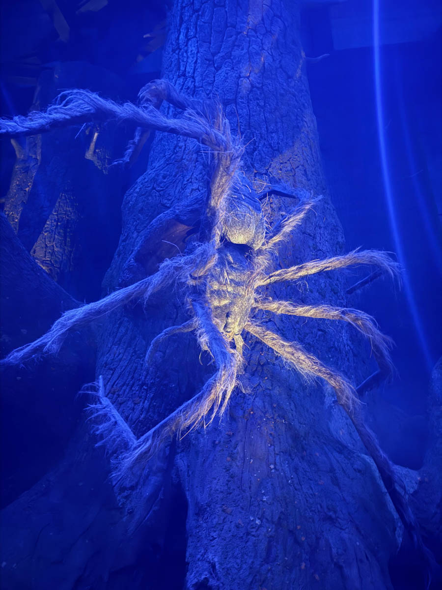 Погрузиться в мир волшебства не так уж сложно. Достаточно купить билет на самолет в Японию. В этом убедились владимирский фотограф Алиса Рунова и ее супруг Артем Баландин. Кроме местных сказочных храмов они побывали в парках развлечений, которые точно понравятся фанатам Гарри Поттера, а также любителям других известных фильмов, сериалов и видеоигр. Своими впечатлениями путешественники поделились с «Ключ-Медиа».