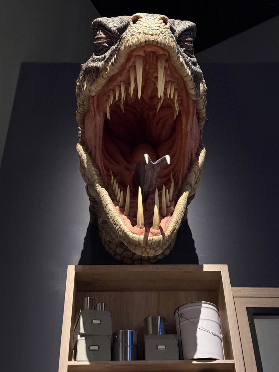 Погрузиться в мир волшебства не так уж сложно. Достаточно купить билет на самолет в Японию. В этом убедились владимирский фотограф Алиса Рунова и ее супруг Артем Баландин. Кроме местных сказочных храмов они побывали в парках развлечений, которые точно понравятся фанатам Гарри Поттера, а также любителям других известных фильмов, сериалов и видеоигр. Своими впечатлениями путешественники поделились с «Ключ-Медиа».