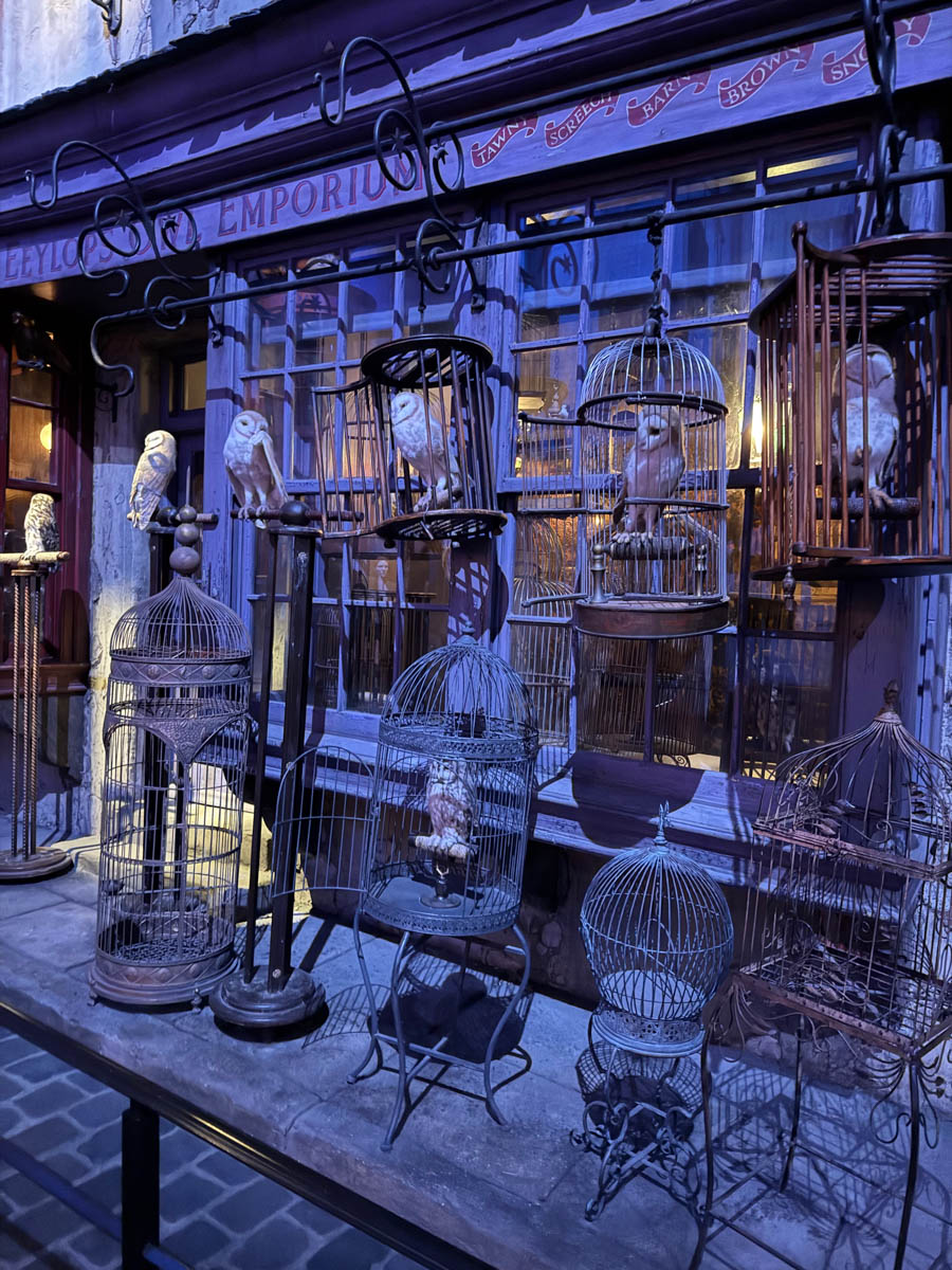 Погрузиться в мир волшебства не так уж сложно. Достаточно купить билет на самолет в Японию. В этом убедились владимирский фотограф Алиса Рунова и ее супруг Артем Баландин. Кроме местных сказочных храмов они побывали в парках развлечений, которые точно понравятся фанатам Гарри Поттера, а также любителям других известных фильмов, сериалов и видеоигр. Своими впечатлениями путешественники поделились с «Ключ-Медиа».