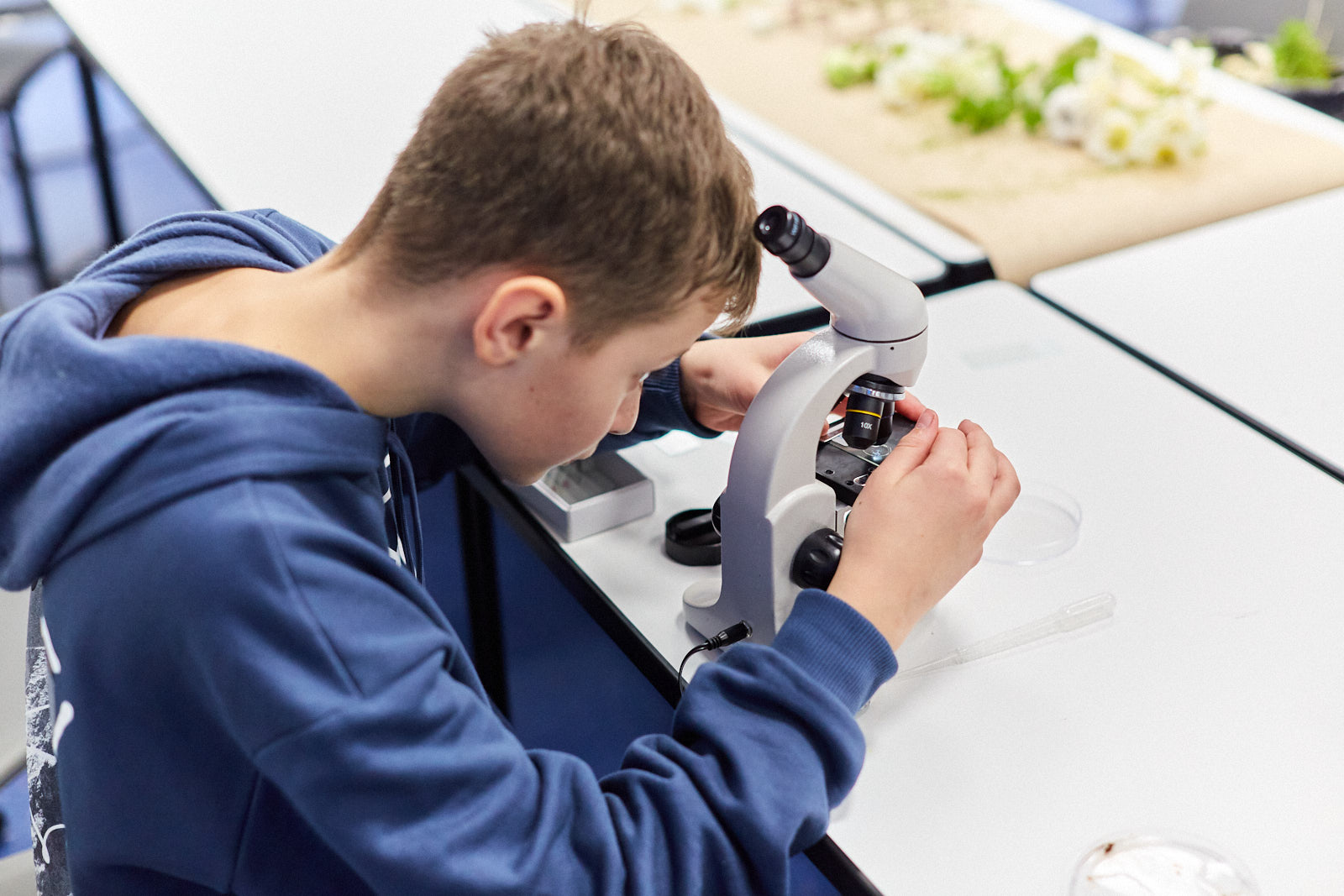 Летом 2025-го 18 выпускников региональной столицы сдали ЕГЭ на «сотку». Благодарить за это стоит не только высшие силы и провидение, но и наставников, в том числе школьных педагогов. Какие владимирские учебные заведения по итогам года можно смело назвать «фабриками звезд»? И что подобный успех дает самим образовательным учреждениям? В этих вопросах разобрался «Ключ-Медиа».