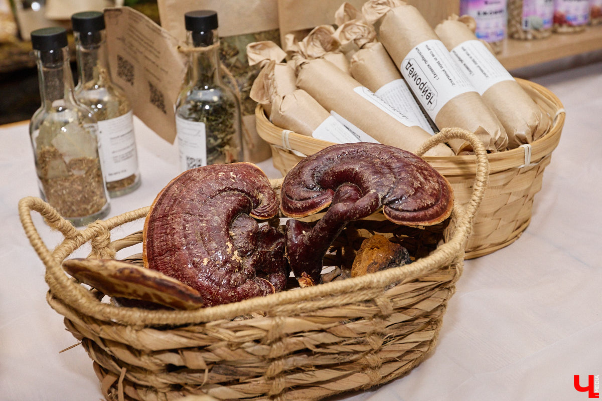 Поговорить о роли дам в предпринимательстве собрались эксперты и врачи на региональной конференции «Женский код успеха: гармония бизнеса и здоровья». На форуме можно было не только познакомиться со специалистами из разных сфер, но и получить советы по важным вопросам, которые касаются представительниц прекрасного пола. Мероприятие посетил и «Ключ-Медиа».