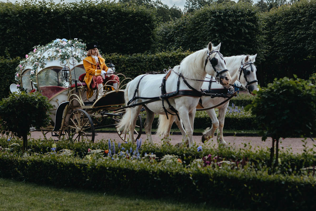 Герои сказок смотрят на нас с афиш кинотеатров. На одной из них можно узнать актрису из 33-го региона. Жанна Маркевич из Мурома сыграла дочь Кощея в семейном фэнтези «Царевна-лягушка». Мало того, на 2026 год запланирован выход сиквела с ее участием. В ожидании новой истории «Ключ-Медиа» пообщался с кинозвездой.
