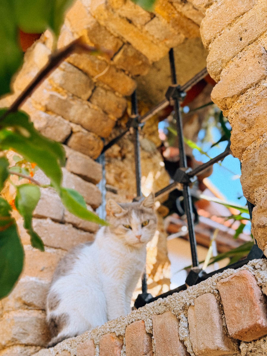 Одной из самых известных туристических точек на карте Турции, без сомнений, является Анталья! Все местные пляжи усеяны многоэтажными отелями, но за ними скрывается совсем иная сторона города. О ней «Ключ-Медиа» рассказала фотограф из Владимира Дарья Воронкова, которая отправилась в страну курортов с мужем далеко не греться под солнцем!