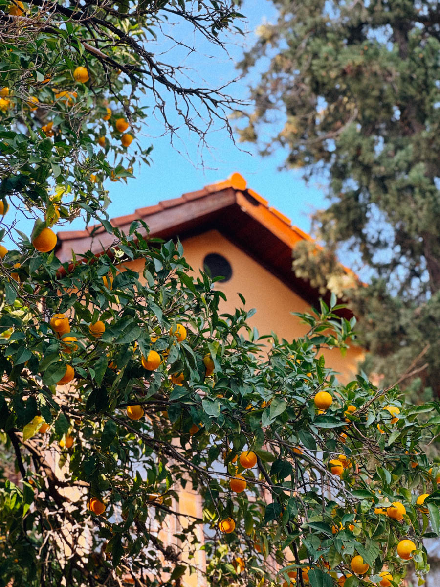 Одной из самых известных туристических точек на карте Турции, без сомнений, является Анталья! Все местные пляжи усеяны многоэтажными отелями, но за ними скрывается совсем иная сторона города. О ней «Ключ-Медиа» рассказала фотограф из Владимира Дарья Воронкова, которая отправилась в страну курортов с мужем далеко не греться под солнцем!