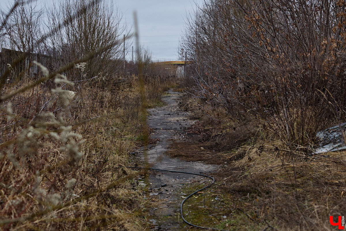 Во Владимире началось строительство новой дорожной артерии, которая соединит улицы Гастелло и Куйбышева. Стоимость участка длиной 600 метров оценена в 266 миллионов рублей. Завершить работы планируют к сентябрю 2026 года, ну а пока «Ключ-Медиа» оценил будущую развязку на старте ее сооружения.