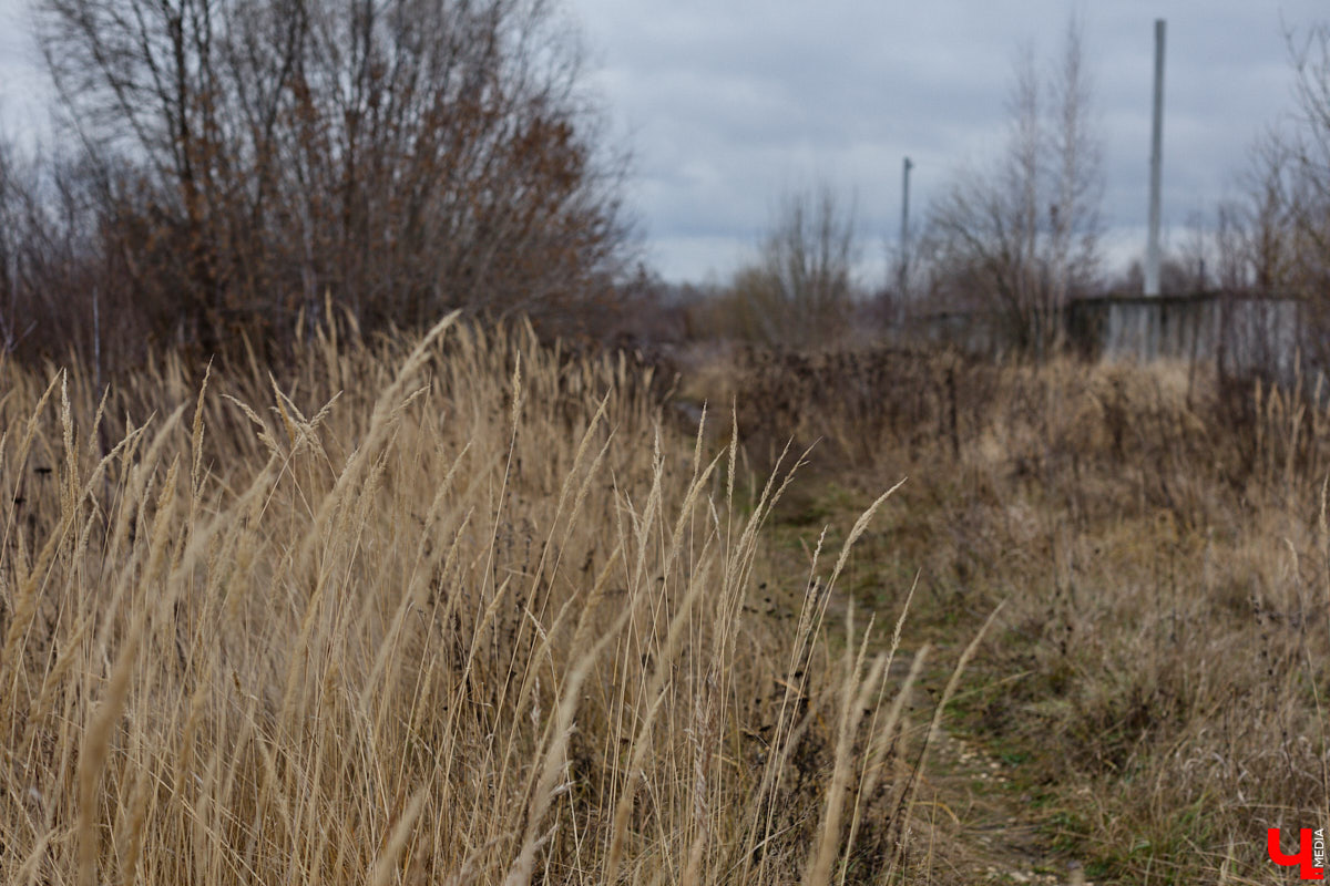 Во Владимире началось строительство новой дорожной артерии, которая соединит улицы Гастелло и Куйбышева. Стоимость участка длиной 600 метров оценена в 266 миллионов рублей. Завершить работы планируют к сентябрю 2026 года, ну а пока «Ключ-Медиа» оценил будущую развязку на старте ее сооружения.