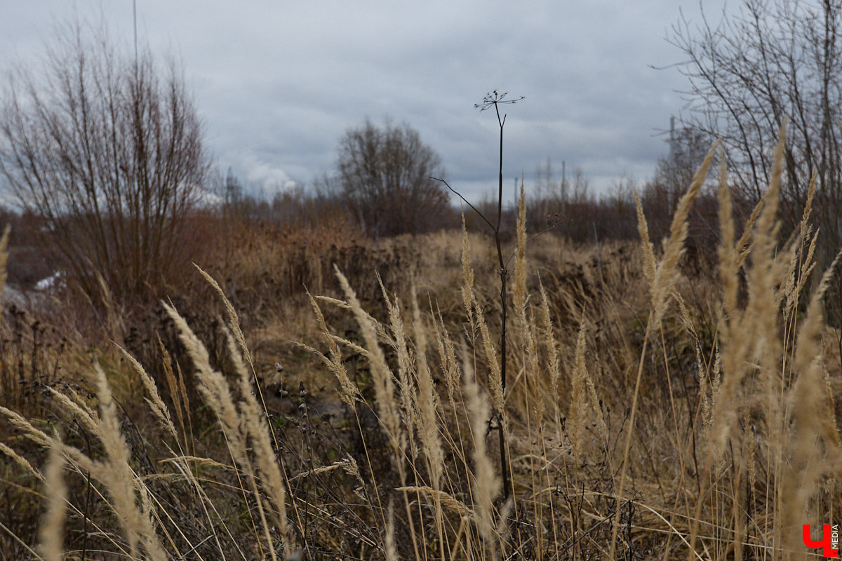 Во Владимире началось строительство новой дорожной артерии, которая соединит улицы Гастелло и Куйбышева. Стоимость участка длиной 600 метров оценена в 266 миллионов рублей. Завершить работы планируют к сентябрю 2026 года, ну а пока «Ключ-Медиа» оценил будущую развязку на старте ее сооружения.