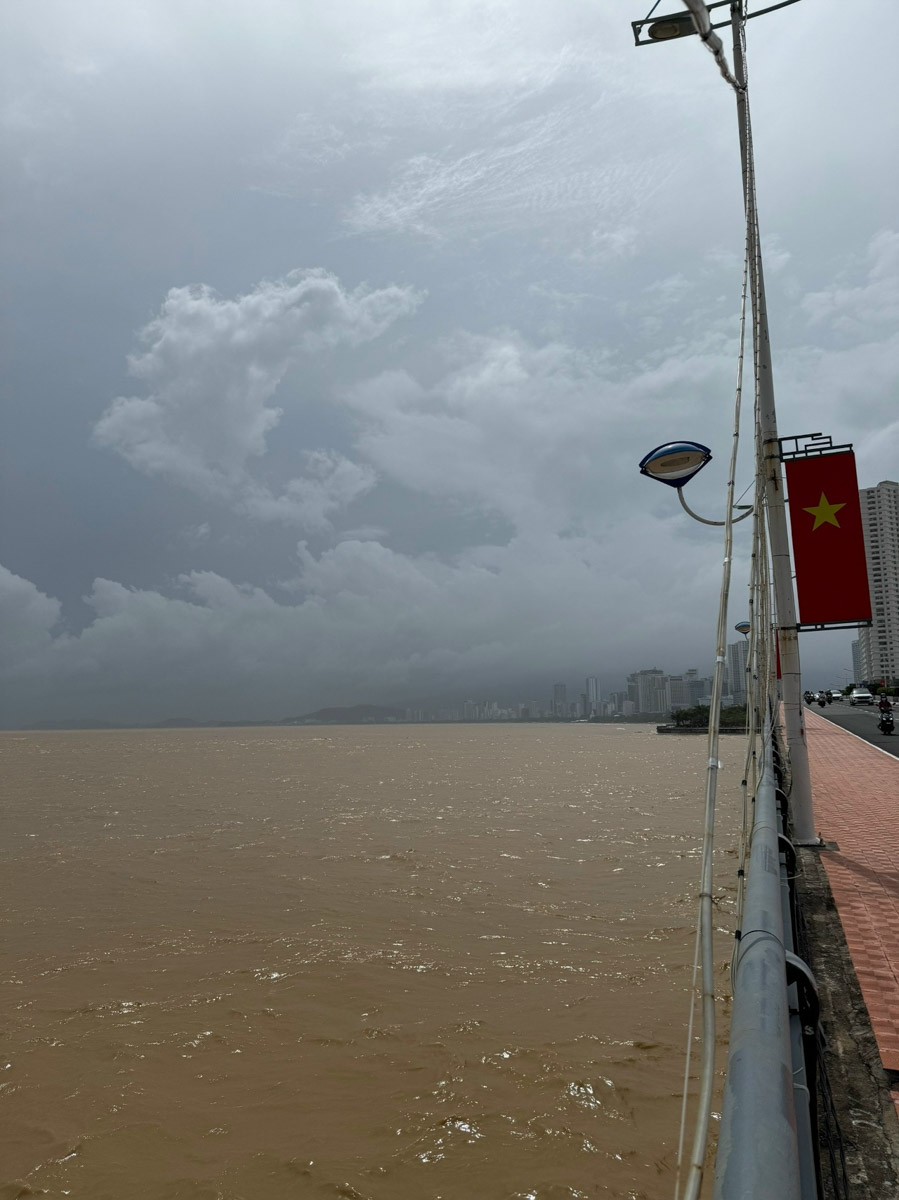 Отдых в несезон — рисковое мероприятие. Владимирский реставратор Маргарита Зинова решилась на него, отправившись на курорт Вьетнама в ноябре, и чуть не оказалась во власти разрушительной стихии. О впечатлениях, привезенных из Нячанга, она рассказала «Ключ-Медиа».