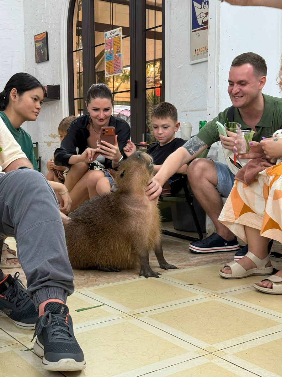 Отдых в несезон — рисковое мероприятие. Владимирский реставратор Маргарита Зинова решилась на него, отправившись на курорт Вьетнама в ноябре, и чуть не оказалась во власти разрушительной стихии. О впечатлениях, привезенных из Нячанга, она рассказала «Ключ-Медиа».