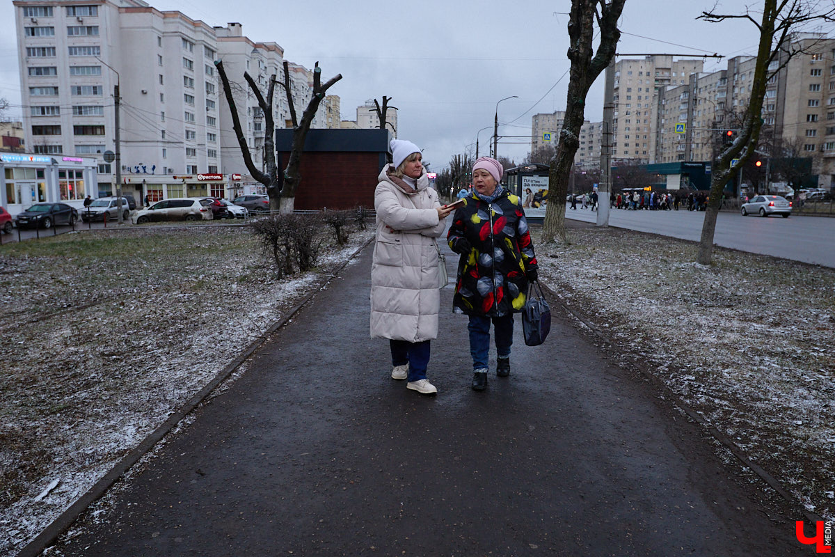 Во         ;Владимире продолжается массовая обрезка и         ;даже вырубка деревьев. Вдоль центральных дорог         ;— голые стволы и         ;пеньки. Спиливают ивы, тополя, клены и         ;липы. Можно         ;ли было их         ;не         ;трогать и         ;как правильно формировать крону? «Ключ-Медиа» прогулялся по         ;проспекту Ленина с         ;экспертом и         ;задал самые важные вопросы специалисту.