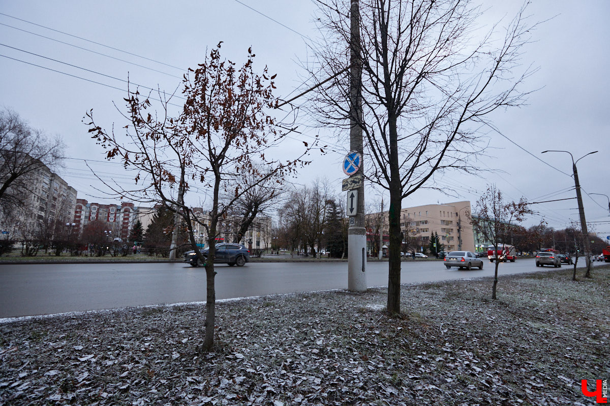 Во         ;Владимире продолжается массовая обрезка и         ;даже вырубка деревьев. Вдоль центральных дорог         ;— голые стволы и         ;пеньки. Спиливают ивы, тополя, клены и         ;липы. Можно         ;ли было их         ;не         ;трогать и         ;как правильно формировать крону? «Ключ-Медиа» прогулялся по         ;проспекту Ленина с         ;экспертом и         ;задал самые важные вопросы специалисту.