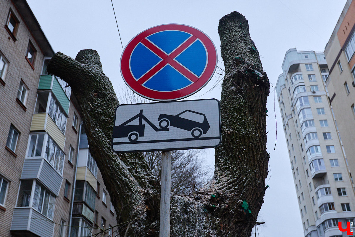 Во         ;Владимире продолжается массовая обрезка и         ;даже вырубка деревьев. Вдоль центральных дорог         ;— голые стволы и         ;пеньки. Спиливают ивы, тополя, клены и         ;липы. Можно         ;ли было их         ;не         ;трогать и         ;как правильно формировать крону? «Ключ-Медиа» прогулялся по         ;проспекту Ленина с         ;экспертом и         ;задал самые важные вопросы специалисту.