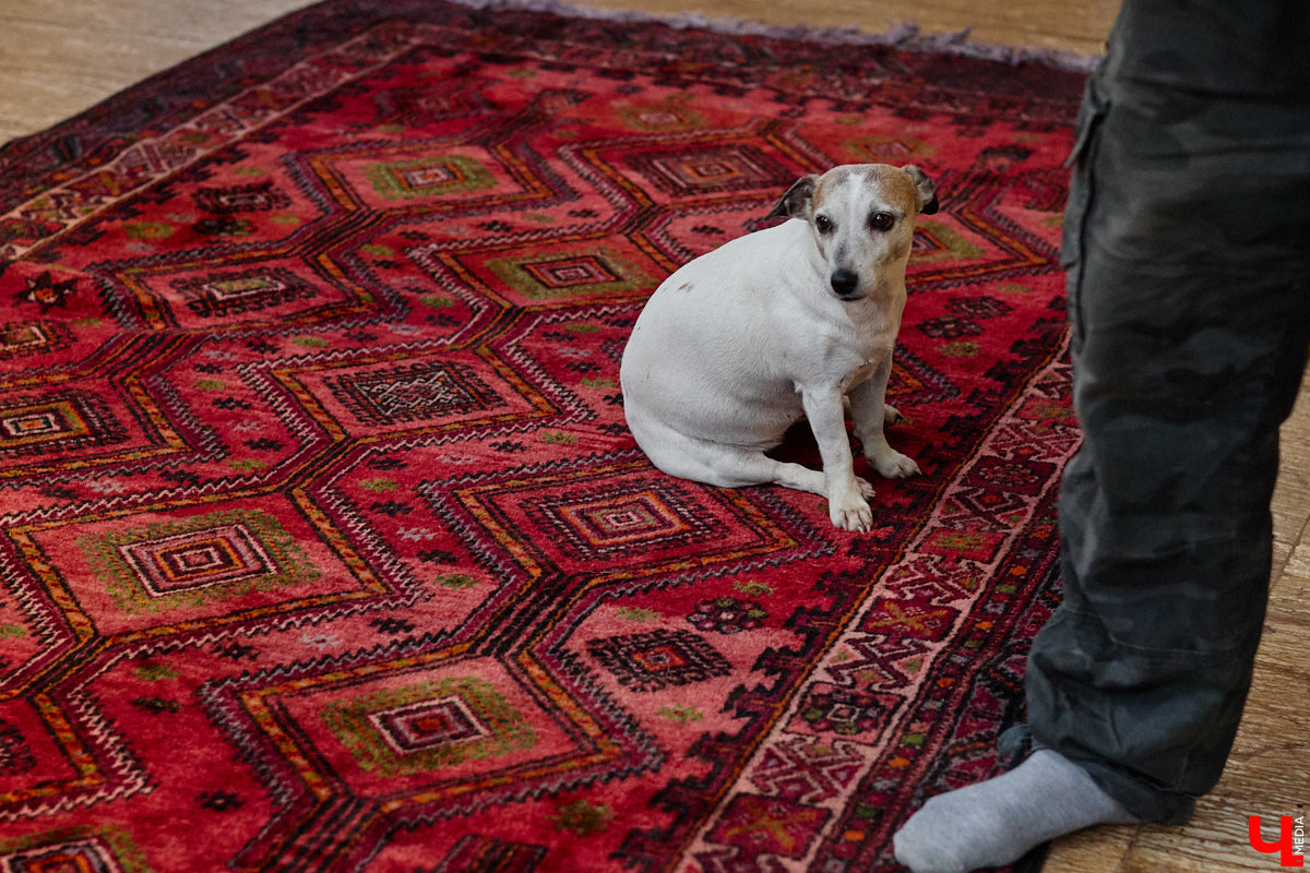 Мастер по дереву Николай Лавданский переехал в Киржачский район более 10 лет назад. Там он построил дом, завел хозяйство и продолжил заниматься творчеством, вдохновляясь единением с природой. По его 16 гектарам, населенным зверюшками, постоянно гуляют туристы. «Ключ-Медиа» удалось осмотреть не только угодья, но и жилище скульптора.