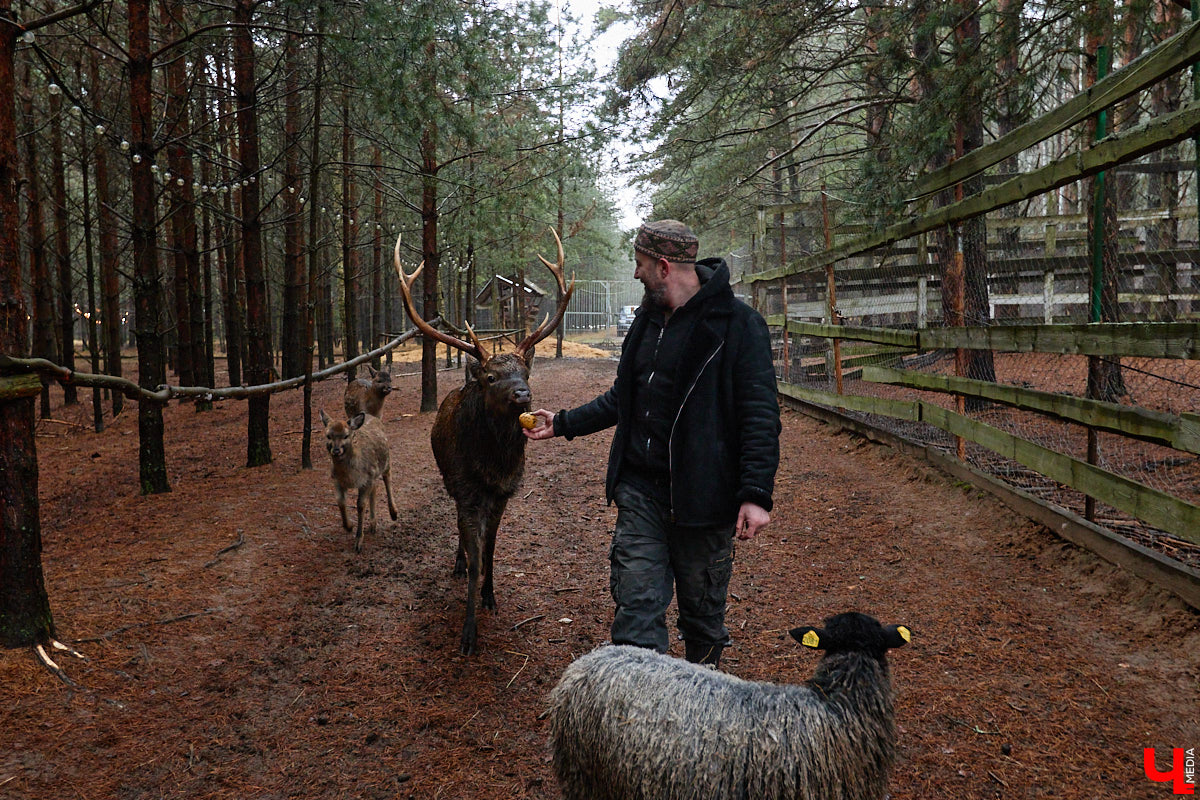 Мастер по дереву Николай Лавданский переехал в Киржачский район более 10 лет назад. Там он построил дом, завел хозяйство и продолжил заниматься творчеством, вдохновляясь единением с природой. По его 16 гектарам, населенным зверюшками, постоянно гуляют туристы. «Ключ-Медиа» удалось осмотреть не только угодья, но и жилище скульптора.