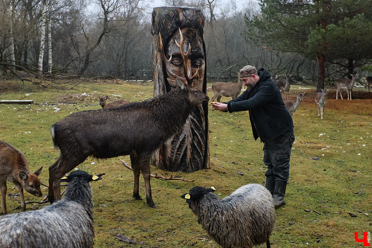 Мастер по дереву Николай Лавданский переехал в Киржачский район более 10 лет назад. Там он построил дом, завел хозяйство и продолжил заниматься творчеством, вдохновляясь единением с природой. По его 16 гектарам, населенным зверюшками, постоянно гуляют туристы. «Ключ-Медиа» удалось осмотреть не только угодья, но и жилище скульптора.