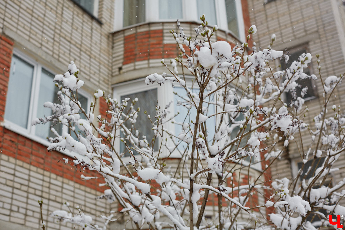 Увы, погода созданию новогодней атмосферы способствовать не желает. Снег, ранее покрывший землю, заметно поредел по вине оттепели. Но на этом сюрпризы конца декабря не заканчиваются: нас снова ожидает метеорологическая карусель. С 23-го числа регион окажется в лапах январского мороза, правда, ненадолго.